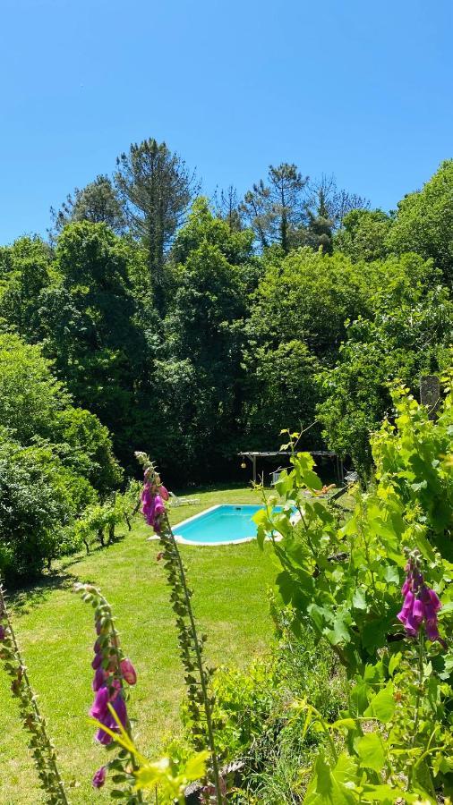 Land Of Deveza - Tiny Houses São Pedro do Sul Exteriör bild